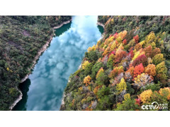 酉阳甘龙河湛蓝清澈 斑斓彩林点缀岸边