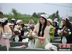 探访“重庆芍药第一村”：线上线下齐推“花经济”