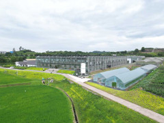 养鱼不换水 种菜不施肥 重庆这个“智能工厂”藏着现代农业密码