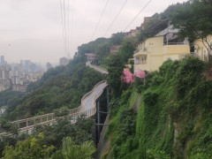 重庆：解锁山城观景新C位，鹅岭悬空栈桥正式开放